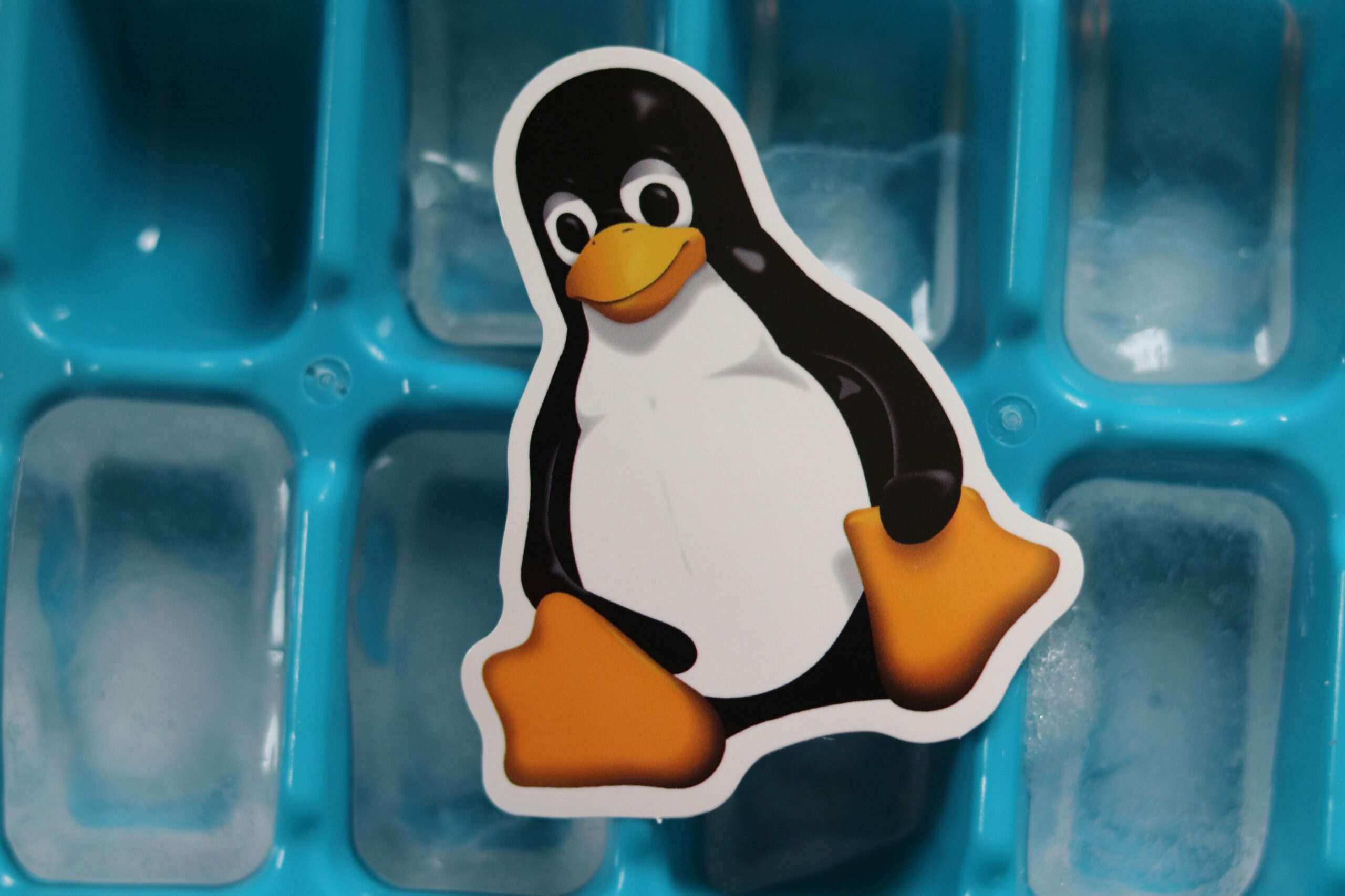 Linux The Only Beginner  Guide You Will Need
